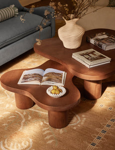 Ombra Nesting Coffee Table (set of two)