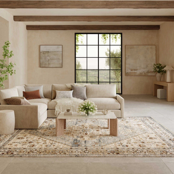 PARDIS RUG TAUPE BLUE