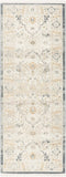 PARDIS RUG TAUPE LIGHT BLUE