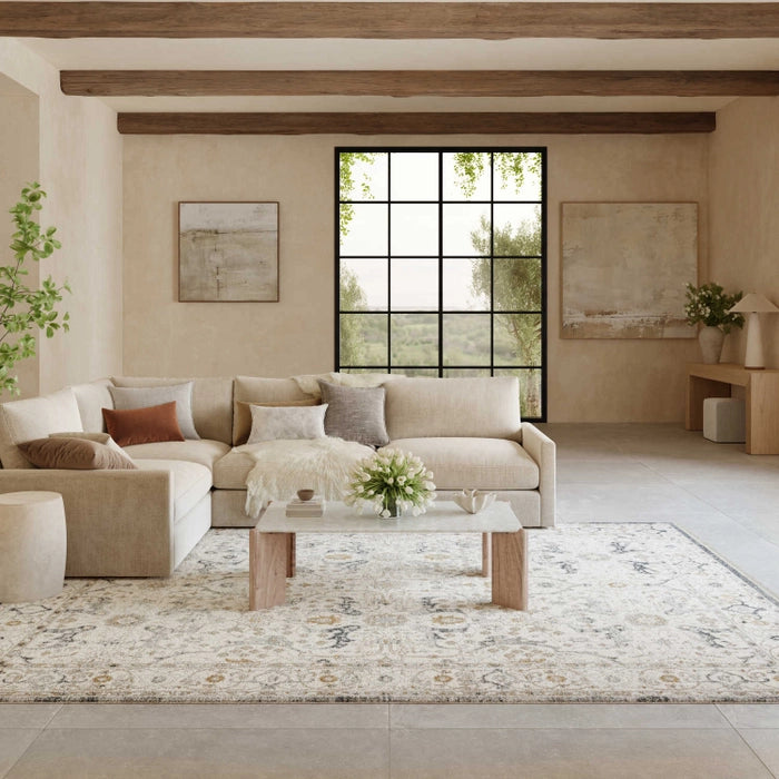 PARDIS RUG TAUPE LIGHT BLUE