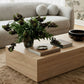 Romy 47" Rectangular Coffee Table
