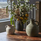 Amphora Collection