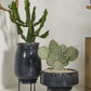 Arrival Planter