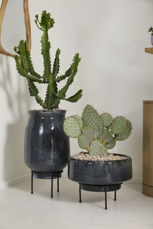 Arrival Planter