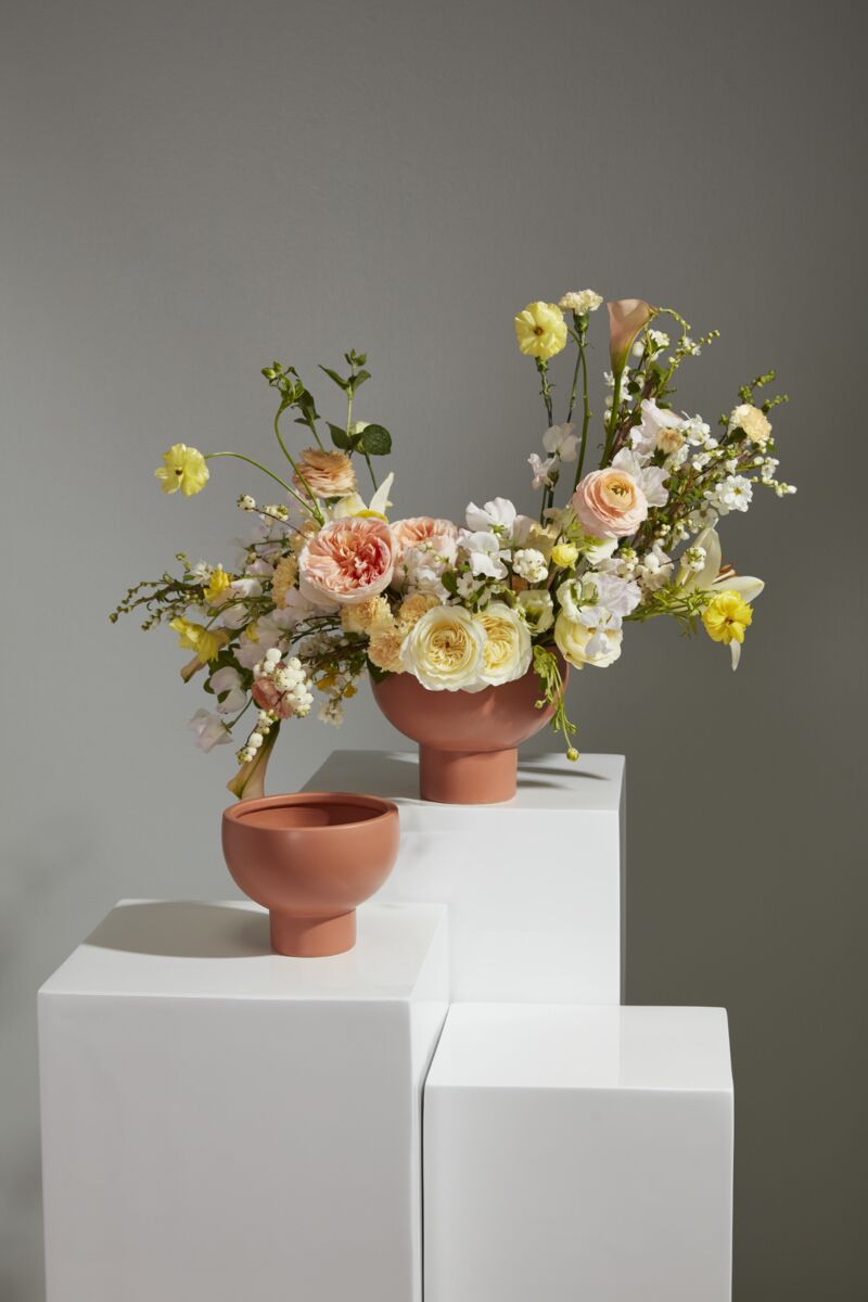 Capricorn Compote Terracota