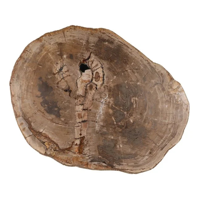 Arik Coffee Table