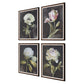 Florals on Black Framed Prints