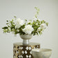 Isabella Compote