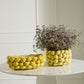Layered Lemon Collection