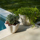 Living Planter