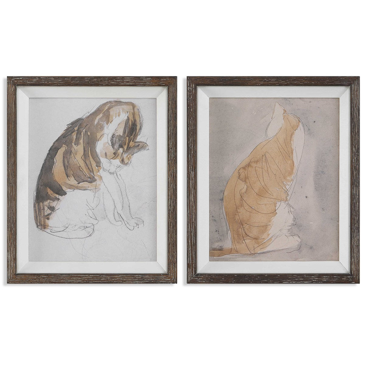 CAT AND STUDY OF A CAT FRAMED PRINTS, S/2