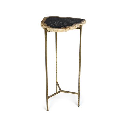Porto Alegre Petrified Wood Side Table