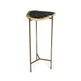 Porto Alegre Petrified Wood Side Table