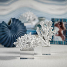 Cargar imagen en el visor de la galería, Coral blanco sobre base acrílica - Diseño A

