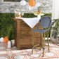 Ford Indoor Outdoor French Bistro Bar Stool