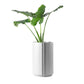 The Cylinder Medium